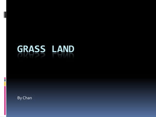 GRASS LAND



By Chan
 