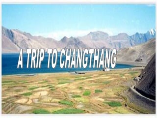 Changthang