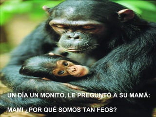 UN DÍA UN MONITO, LE PREGUNTÓ A SU MAMÁ: MAMI ¿POR QUÉ SOMOS TAN FEOS?
