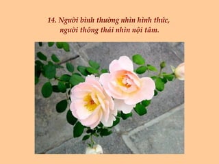 14. Người bình thường nhìn hình thức,  người thông thái nhìn nội tâm. 