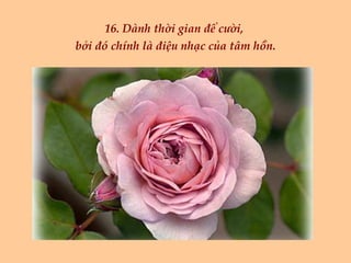 16. Dành thời gian để cười,  bởi đó chính là điệu nhạc của tâm hồn. 