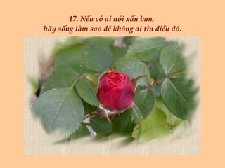 17. Nếu có ai nói xấu bạn,  hãy sống làm sao để không ai tin điều đó. 