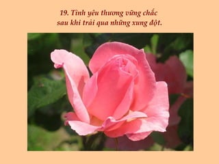 19. Tình yêu thương vững chắc  sau khi trải qua những xung đột. 