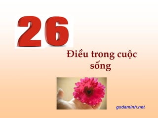 gxdaminh.net Điều trong cuộc sống 