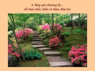 3. Hãy yêu thương đi...  rồi bạn chắc chắn sẽ được đáp lại. 