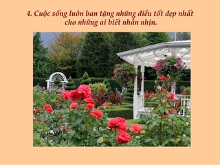 4. Cuộc sống luôn ban tặng những điều tốt đẹp nhất  cho những ai biết nhẫn nhịn. 