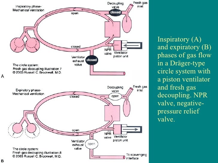 Chi Sing Hsu by Chi Sing Hsu