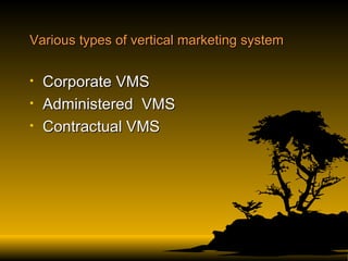 Various types of vertical marketing system Corporate VMS Administered  VMS Contractual VMS 