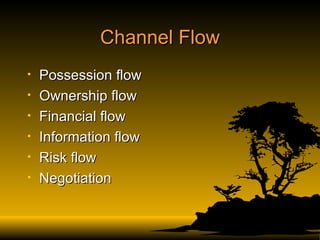Channel Flow Possession flow Ownership flow Financial flow Information flow Risk flow Negotiation  