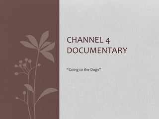 CHANNEL 4 
DOCUMENTARY 
“Going to the Dogs” 
 