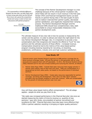 The Strategic Role of the Partner Development Manager | PDF