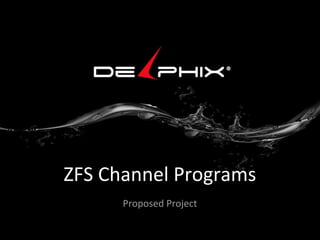 ZFS Channel Programs
Proposed Project

 