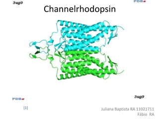 Channelrhodopsin




[1]               Juliana Baptista RA 11021711
                                       Fábio RA
 