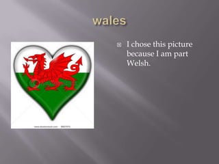    I chose this picture
    because I am part
    Welsh.
 