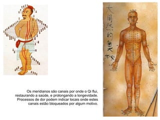 Os meridianos são canais por onde o Qi flui,
restaurando a saúde, e prolongando a longevidade.
 Processos de dor podem indicar locais onde estes
        canais estão bloqueados por algum motivo.
 