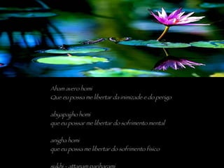 Aham avero homi Que eu possa me libertar da inimizade e do perigo abyapajjho homi que eu possar me libertar do sofrimento mental anigha homi que eu possa me libertar do sofrimento físico sukhi - attanam pariharami que eu possa cuidar de mim mesmo com felicidade 