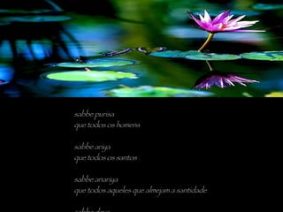 sabbe purisa que todos os homens sabbe ariya que todos os santos sabbe anariya que todos aqueles que almejam a santidade sabbe deva que todos os deuses 