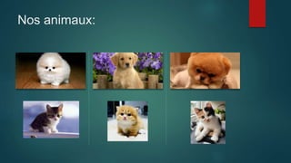 Nos animaux:
 