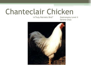 ChanteclairChicken“A Truly Patriotic Bird” 	Gastronomy Level II        						Serene Choo 