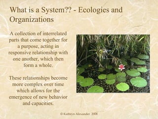 © Kathryn Alexander. 2008 What is a System?? - Ecologies and Organizations A collection of interrelated parts that come together for a purpose, acting in responsive relationship with one another, which then form a whole. These relationships become more complex over time which allows for the emergence of new behavior and capacities. 