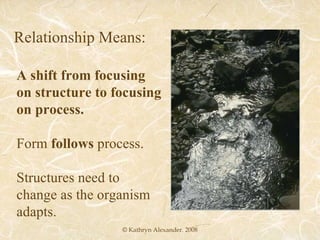 © Kathryn Alexander. 2008 Relationship Means: A shift from focusing on structure to focusing on process. Form  follows  process. Structures need to change as the organism adapts. 