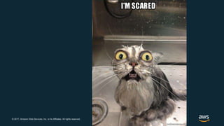 © 2017, Amazon Web Services, Inc. or its Affiliates. All rights reserved.
 