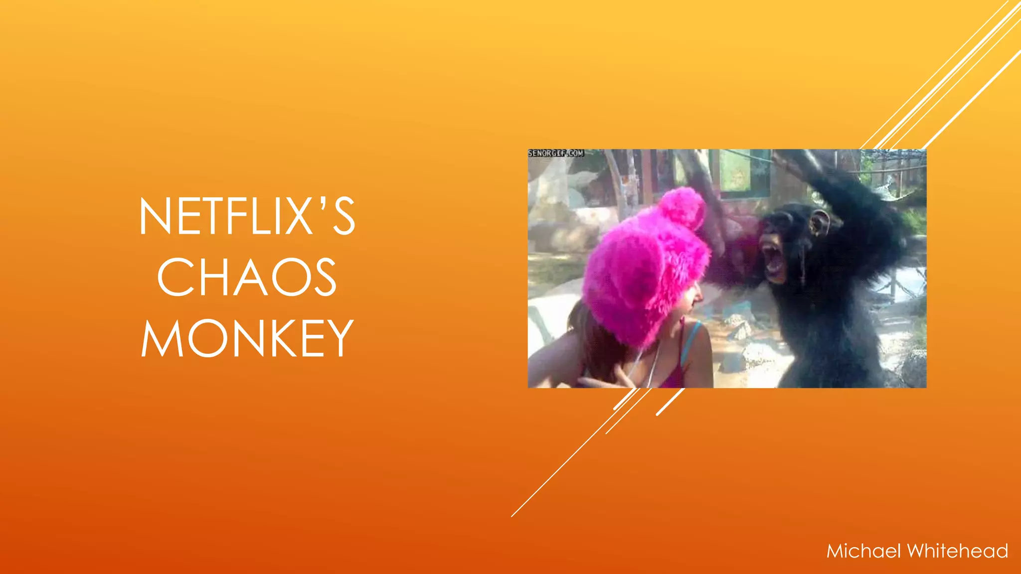 NETFLIX’S
CHAOS
MONKEY
Michael Whitehead
 