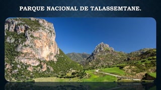 PARQUE NACIONAL DE TALASSEMTANE.
 