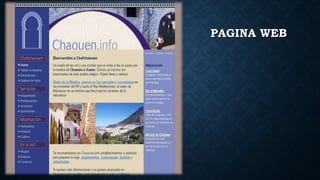 PAGINA WEB
 