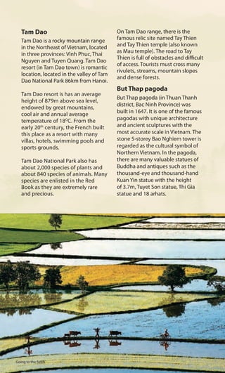 Tam Dao
Tam Dao is a rocky mountain range
in the Northeast of Vietnam, located
in three provinces: Vinh Phuc, Thai
Nguyen and Tuyen Quang. Tam Dao
resort (in Tam Dao town) is romantic
location, located in the valley of Tam
Dao National Park 86km from Hanoi.
Tam Dao resort is has an average
height of 879m above sea level,
endowed by great mountains,
cool air and annual average
temperature of 18O
C. From the
early 20th
century, the French built
this place as a resort with many
villas, hotels, swimming pools and
sports grounds.
Tam Dao National Park also has
about 2,000 species of plants and
about 840 species of animals. Many
species are enlisted in the Red
Book as they are extremely rare
and precious.
On Tam Dao range, there is the
famous relic site named Tay Thien
and Tay Thien temple (also known
as Mau temple). The road to Tay
Thien is full of obstacles and difficult
of access. Tourists must cross many
rivulets, streams, mountain slopes
and dense forests.
But Thap pagoda
But Thap pagoda (in Thuan Thanh
district, Bac Ninh Province) was
built in 1647. It is one of the famous
pagodas with unique architecture
and ancient sculptures with the
most accurate scale in Vietnam. The
stone 5-storey Bao Nghiem tower is
regarded as the cultural symbol of
Northern Vietnam. In the pagoda,
there are many valuable statues of
Buddha and antiques such as the
thousand-eye and thousand-hand
Kuan Yin statue with the height
of 3.7m, Tuyet Son statue, Thi Gia
statue and 18 arhats.
Going to the fields
 