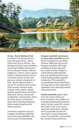 Bi Dup - Nui Ba National Park
Located in Lac Duong district
(Lam Dong province) , about
25km from Da Lat, Bi Dup - Nui
Ba National Park covers 64,800ha,
including 50,000ha of primeval
forest with pine forests, Fokiena
hodginsii L. forests, green cypress
forests, Cephalotaxaceae forests
and many species of rare and
precious animals and plants. Bi
Dup - Nui Ba National Park is
one of 221 endemic bird centers
of the world. Common birds
include: shrike, black-necked
grackle, spotted dove, francolin,
Moorcock, boucal, drong and
woodpecker. Among them, there
are three species of endemic
birds: black-throated laughing,
black-headed laughing and
yellow sparrow.
Two famous mountain tops are
Langbian and Bi Dup which like
many rivers and waterfalls in the
area, are part of national park.
Pongour waterfall, also known
as seven-layer waterfall: located
in Duc Trong district, Lam Dong
Province, 50km from Da Lat city.
Pongour waterfall is 30m high,
hundreds of meters long and
has a wide veranda. Pongour is
a famously beautiful waterfall
that was regarded by the French
as the“most grandiose waterfall
in Indochina”. The waterfall is
surrounded by the primeval forest
covering about 2.5ha a diversity of
vegetation cover and many ancient
trees and animals.
Dambri waterfall: about 18km
from the center of Bao Loc
town, located in the middle of a
secluded and beautiful primeval
forest. Dambri waterfall is about
60m high. In the rainy season,
upstream water flows violently
and it is possible to hear the
sound from several kilometers
away. The waterfall is surrounded
by a nearly untouched forest.
Tuyen Lam lake in Dalat
CHÀO VIỆT NAM | 75
 