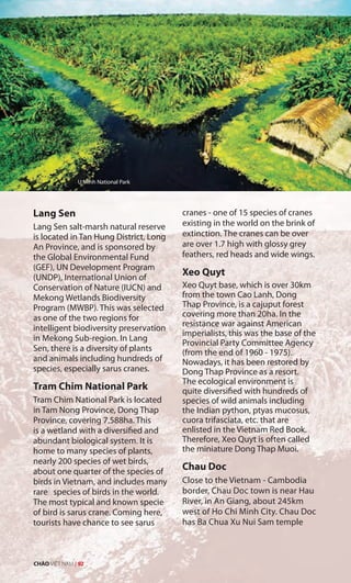 Lang Sen
Lang Sen salt-marsh natural reserve
is located in Tan Hung District, Long
An Province, and is sponsored by
the Global Environmental Fund
(GEF), UN Development Program
(UNDP), International Union of
Conservation of Nature (IUCN) and
Mekong Wetlands Biodiversity
Program (MWBP). This was selected
as one of the two regions for
intelligent biodiversity preservation
in Mekong Sub-region. In Lang
Sen, there is a diversity of plants
and animals including hundreds of
species, especially sarus cranes.
Tram Chim National Park
Tram Chim National Park is located
in Tam Nong Province, Dong Thap
Province, covering 7,588ha. This
is a wetland with a diversified and
abundant biological system. It is
home to many species of plants,
nearly 200 species of wet birds,
about one quarter of the species of
birds in Vietnam, and includes many
rare species of birds in the world.
The most typical and known specie
of bird is sarus crane. Coming here,
tourists have chance to see sarus
cranes - one of 15 species of cranes
existing in the world on the brink of
extinction. The cranes can be over
are over 1.7 high with glossy grey
feathers, red heads and wide wings.
Xeo Quyt
Xeo Quyt base, which is over 30km
from the town Cao Lanh, Dong
Thap Province, is a cajuput forest
covering more than 20ha. In the
resistance war against American
imperialists, this was the base of the
Provincial Party Committee Agency
(from the end of 1960 - 1975).
Nowadays, it has been restored by
Dong Thap Province as a resort.
The ecological environment is
quite diversified with hundreds of
species of wild animals including
the Indian python, ptyas mucosus,
cuora trifasciata, etc. that are
enlisted in the Vietnam Red Book.
Therefore, Xeo Quyt is often called
the miniature Dong Thap Muoi.
Chau Doc
Close to the Vietnam - Cambodia
border, Chau Doc town is near Hau
River, in An Giang, about 245km
west of Ho Chi Minh City. Chau Doc
has Ba Chua Xu Nui Sam temple
U Minh National Park
CHÀO VIỆT NAM | 92
 