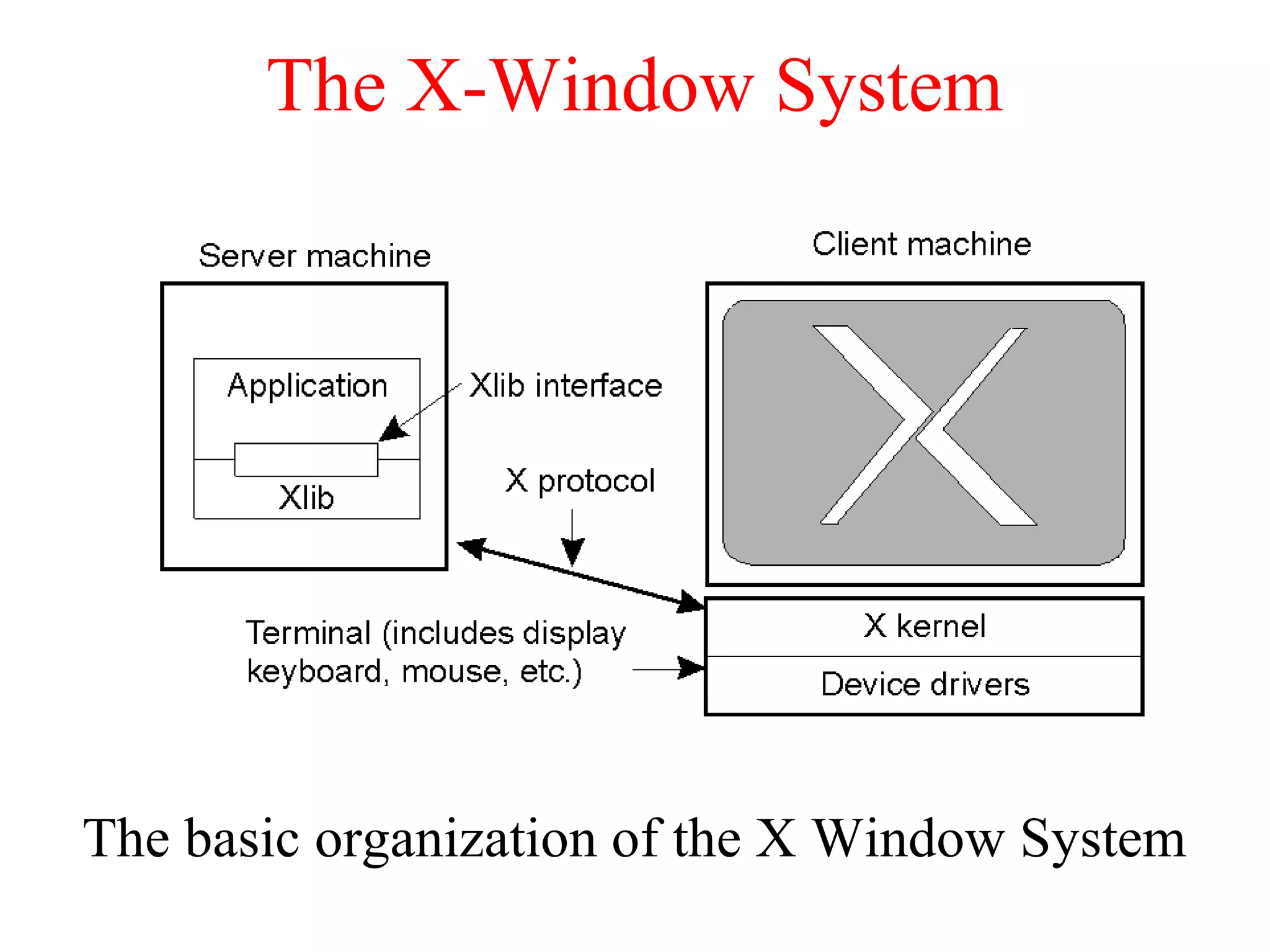 The X-Window System
The basic organization of the X Window System
 