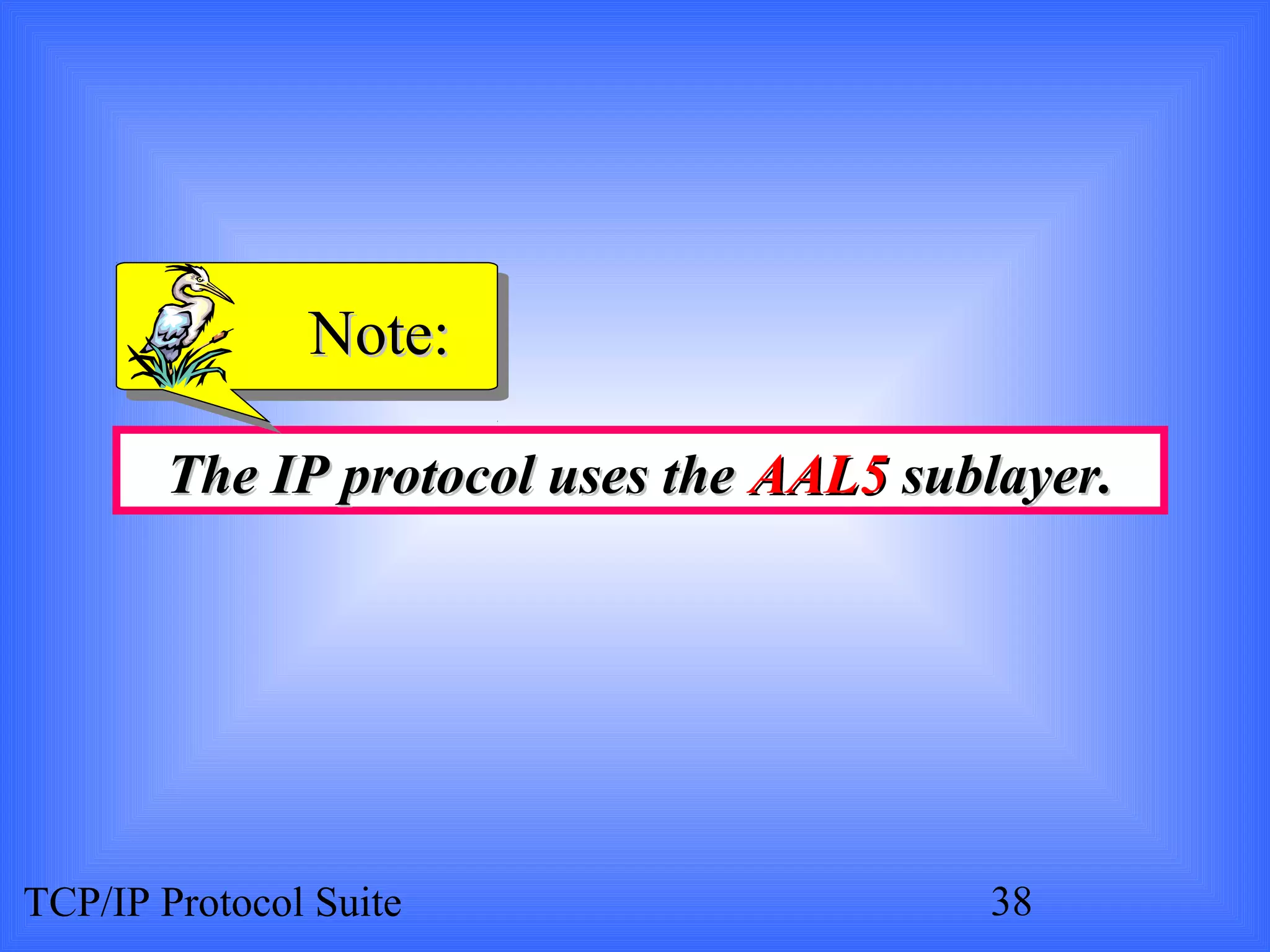NNoottee:: 
TThhee IIPP pprroottooccooll uusseess tthhee AAAALL55 ssuubbllaayyeerr.. 
TCP/IP Protocol Suite 38 
 