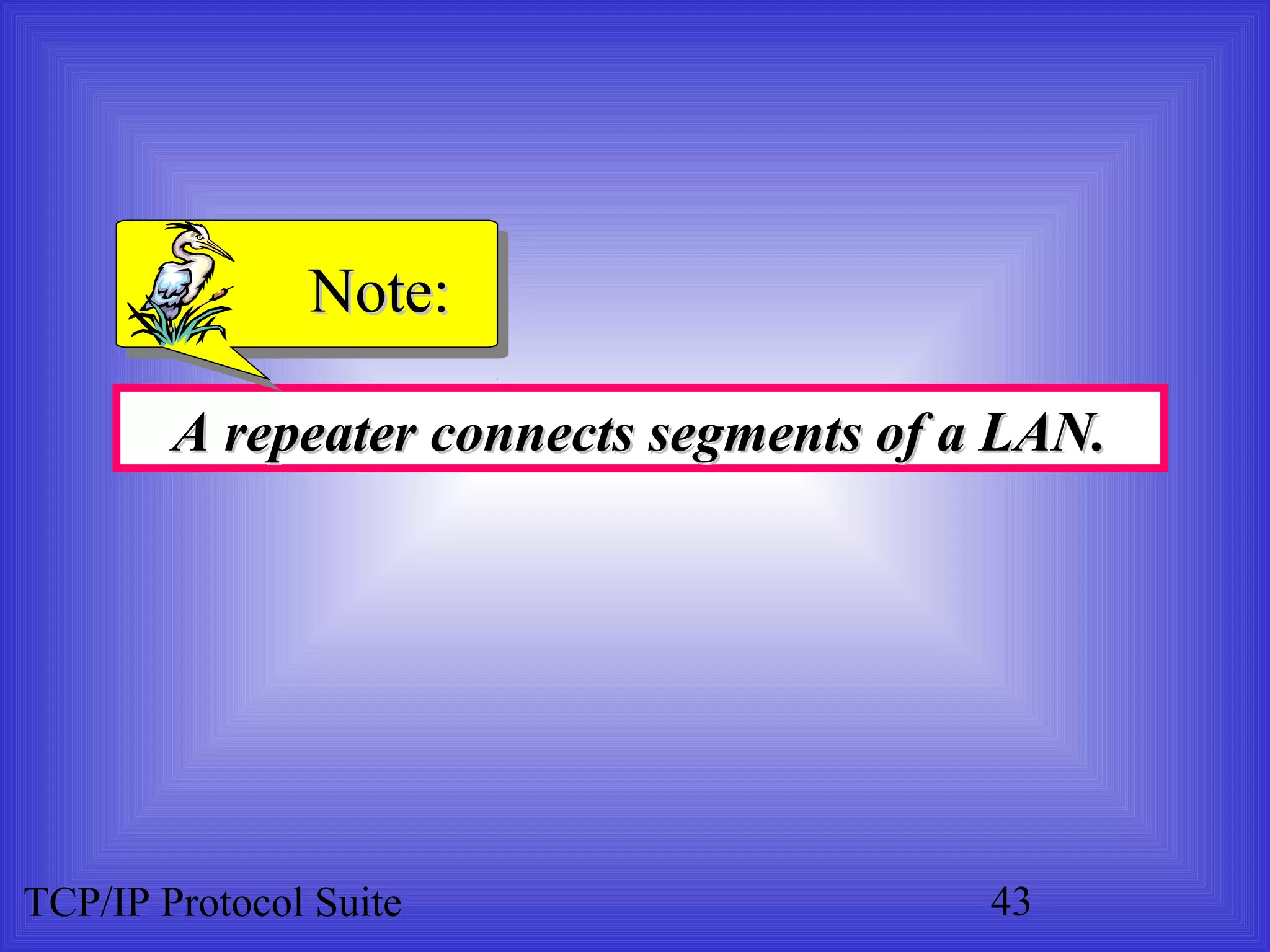 NNoottee:: 
A repeater ccoonnnneeccttss sseeggmmeennttss ooff aa LLAANN.. 
TCP/IP Protocol Suite 43 
 