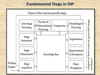 Introduction to Digital Image Processing | PPTX