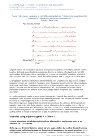 LES FONDAMENTAUX DE LA PATHOLOGIE DIGESTIVE
© CDU-HGE/Editions Elesevier-Masson - Octobre 2014
Toute reproduction ou traduction de l’ouvrage est interdite sans l’accord préalable de l’éditeur
Partie II : Chapitres de synthèse - Chapitre 10 : Motricité digestive - Page 8/10
Figure 10.9 : Aspect typique de la motricité postprandiale de l’intestin grêle recueillie sur huit
niveaux d’enregistrement au niveau duodénojéjunal
Illustration : Carole Fumat
Ce profil moteur est composé de salves de contractions irrégulières, souvent groupées en courtes
bouffées de trois à six contractions successives. Comme la motricité interdigestive, la motricité
postprandiale de l’intestin grêle se caractérise par une grande variabilité d’un individu à l’autre et,
chez un même sujet, d’un repas à l’autre. Sa durée augmente avec la charge calorique du repas.
La progression du chyme intraluminal est intermittente avec une alternance de périodes pendant
lesquelles le transit est très lent et d’autres au cours desquelles la progression se fait sur quelques
dizaines de centimètres. Les phases de transit très lent permettent le mélange des aliments qui
quittent l’estomac avec les sécrétions biliopancréatiques. Les phases de transit plus rapide
permettent un contact des aliments avec une plus large surface muqueuse pour favoriser leur
absorption.
Le profil moteur postprandial se termine avec le retour des phases III. Les premières phases III
diffèrent de celles recueillies lorsque la motricité interdigestive est bien installée par un site d’initiation
plus distal et une propagation sur une plus courte distance.
Dans l’iléon, la période postprandiale se caractérise surtout par des variations de tonus avec une
relaxation iléale prolongée. Cette relaxation permet à l’intestin grêle terminal de jouer un rôle de
réservoir et de contribuer à un remplissage intermittent du cæcum. L’arrivée du bol alimentaire dans
l’iléon déclenche également par des phénomènes de rétrocontrôle un ralentissement de la vidange
gastrique et de la vitesse de transit dans le grêle. Ce phénomène est appelé le frein iléal.
Motricité colique (voir chapitre 4 « Côlon »)
La prise alimentaire stimule la motricité colique à la condition que le repas apporte un
minimum de 1 000 calories.
Cette réponse à l’alimentation se traduit par une augmentation du nombre des contractions
coliques mais surtout par la survenue de contractions propagées de grande amplitude et qui
sont appelées CPGA ou HAPC (high amplitude propagated contractions) pour les auteurs anglo-
2 mn
60 mm Hg
7
6
5
4
3
2
1
Post-prandial, normal
RY
8
 