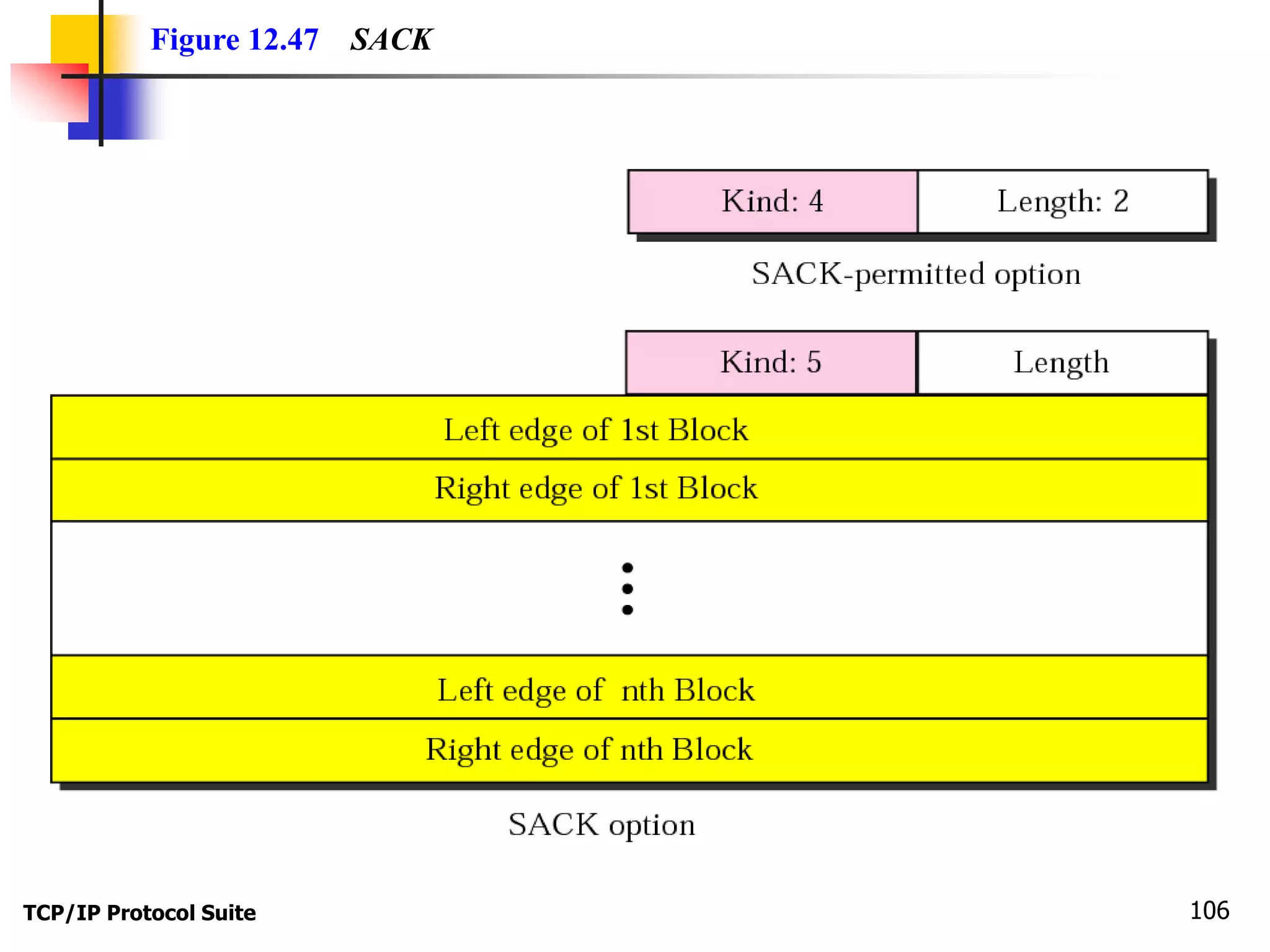 Figure 12.47 SACK 
TCP/IP Protocol Suite 106 
 
