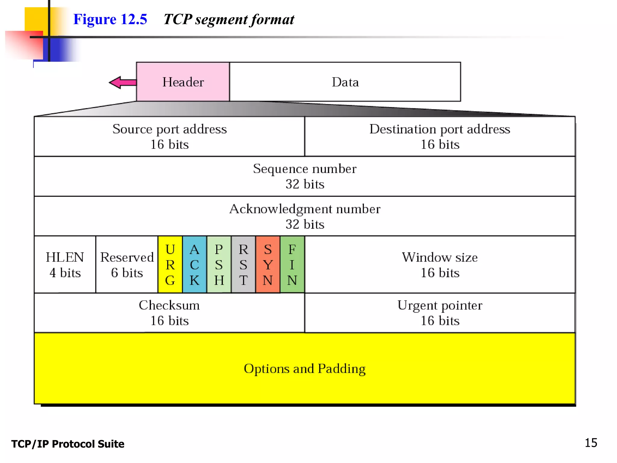 Figure 12.5 TCP segment format 
TCP/IP Protocol Suite 15 
 