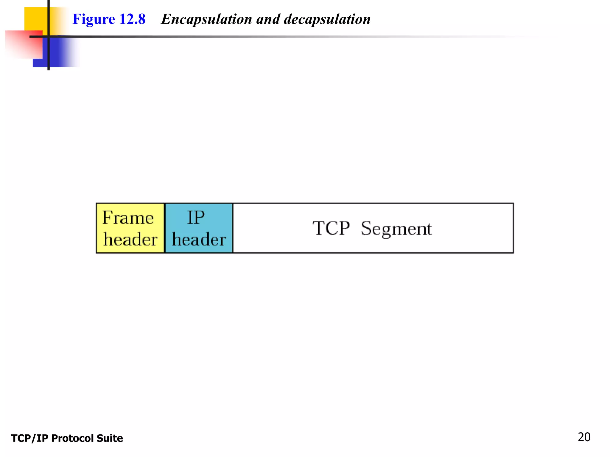 Figure 12.8 Encapsulation and decapsulation 
TCP/IP Protocol Suite 20 
 
