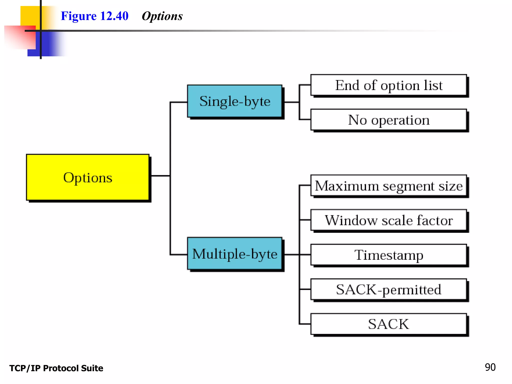 Figure 12.40 Options 
TCP/IP Protocol Suite 90 
 
