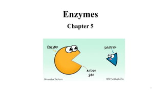 Enzymes
1
Chapter 5
 