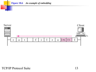 Figure 18.6 An example of embedding 
TCP/IP Protocol Suite 13 
 