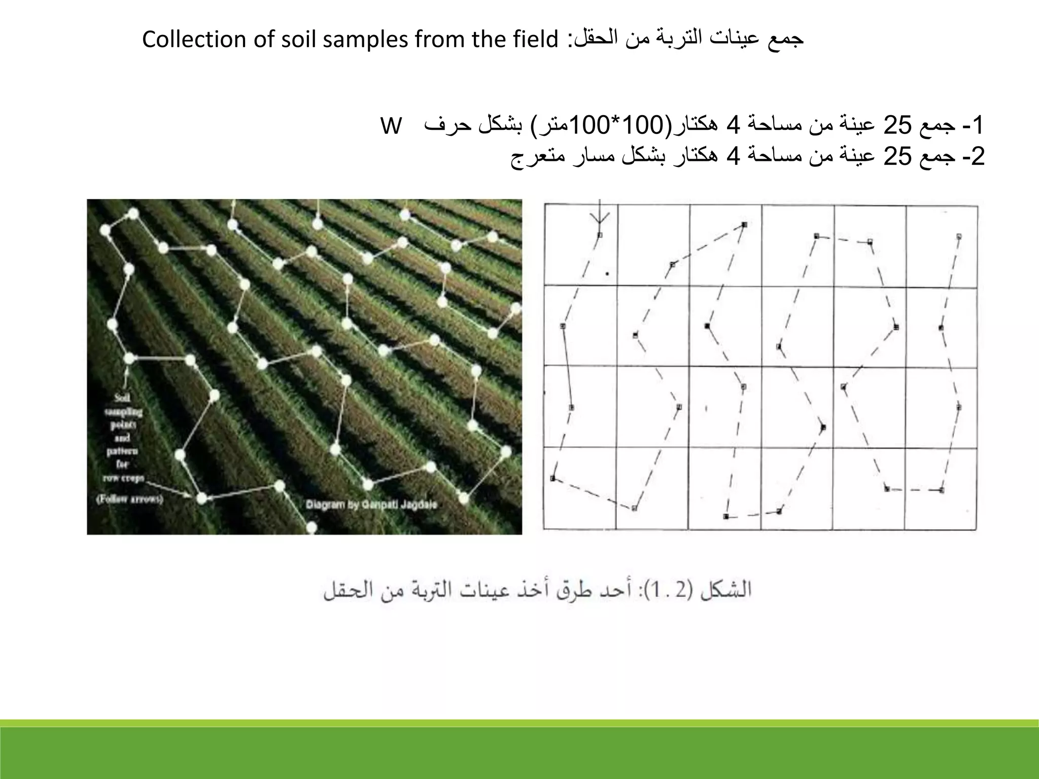 ‫الحقل‬ ‫من‬ ‫التربة‬ ‫عينات‬ ‫جمع‬
:
Collection of soil samples from the field
1
-
‫جمع‬
25
‫مساحة‬ ‫من‬ ‫عينة‬
4
‫هكتار‬
)
100
*
100
‫متر‬
(
‫حرف‬ ‫بشكل‬
W
2
-
‫جمع‬
25
‫مساحة‬ ‫من‬ ‫عينة‬
4
‫متعرج‬ ‫مسار‬ ‫بشكل‬ ‫هكتار‬
 