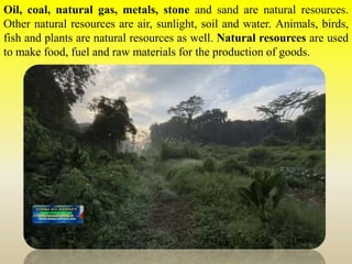 Oil, coal, natural gas, metals, stone and sand are natural resources.
Other natural resources are air, sunlight, soil and water. Animals, birds,
fish and plants are natural resources as well. Natural resources are used
to make food, fuel and raw materials for the production of goods.
 