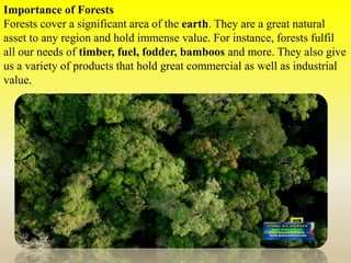 Importance of Forests
Forests cover a significant area of the earth. They are a great natural
asset to any region and hold immense value. For instance, forests fulfil
all our needs of timber, fuel, fodder, bamboos and more. They also give
us a variety of products that hold great commercial as well as industrial
value.
 