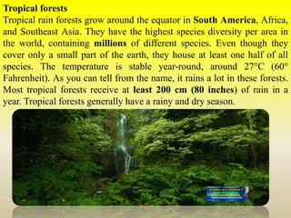 Tropical forests
Tropical rain forests grow around the equator in South America, Africa,
and Southeast Asia. They have the highest species diversity per area in
the world, containing millions of different species. Even though they
cover only a small part of the earth, they house at least one half of all
species. The temperature is stable year-round, around 27°C (60°
Fahrenheit). As you can tell from the name, it rains a lot in these forests.
Most tropical forests receive at least 200 cm (80 inches) of rain in a
year. Tropical forests generally have a rainy and dry season.
 