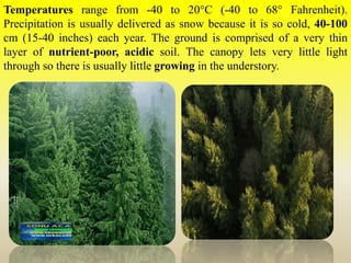 Temperatures range from -40 to 20°C (-40 to 68° Fahrenheit).
Precipitation is usually delivered as snow because it is so cold, 40-100
cm (15-40 inches) each year. The ground is comprised of a very thin
layer of nutrient-poor, acidic soil. The canopy lets very little light
through so there is usually little growing in the understory.
 