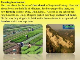 Farming in mizoram:
You read about the forests of Jharkhand in Suryamani’s story. Now read
about forests on the hills of Mizoram. See how people live there, and
how farming is done. Ding, Ding, Ding.... As soon as the school bell
rang Lawmte-aa, Dingi, Dingima picked their bags and hurried home.
On the way they stopped to drink water from a stream in a cup made of
bamboo which was kept there.
 
