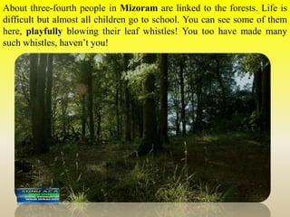 About three-fourth people in Mizoram are linked to the forests. Life is
difficult but almost all children go to school. You can see some of them
here, playfully blowing their leaf whistles! You too have made many
such whistles, haven’t you!
 